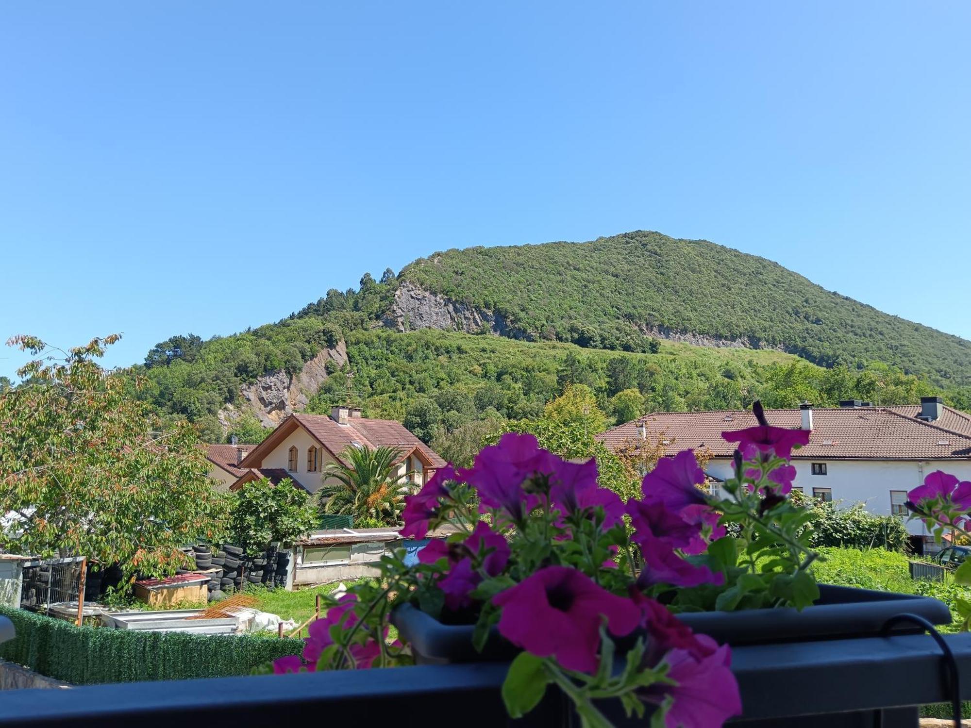 Апартаменти Urdaibai Mungabe Busturia Екстер'єр фото